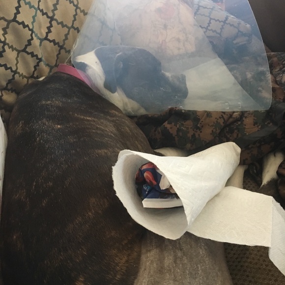 She’s back home and napping. Thanks everyone. - Picture 5 of 7